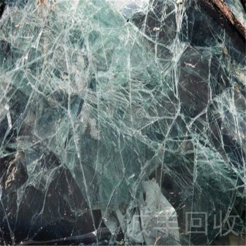 麻豆视频免费网站