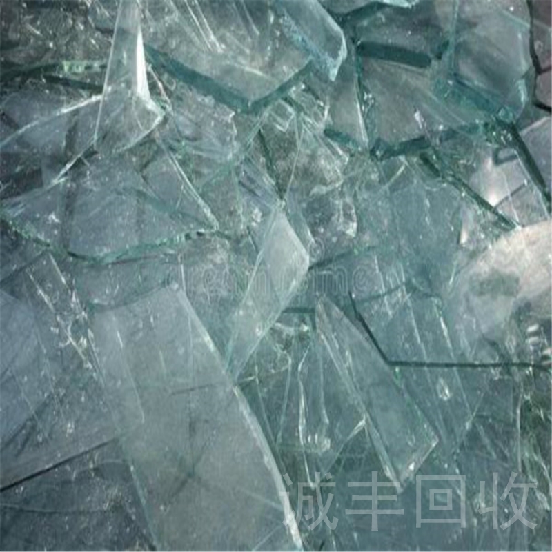麻豆视频免费网站